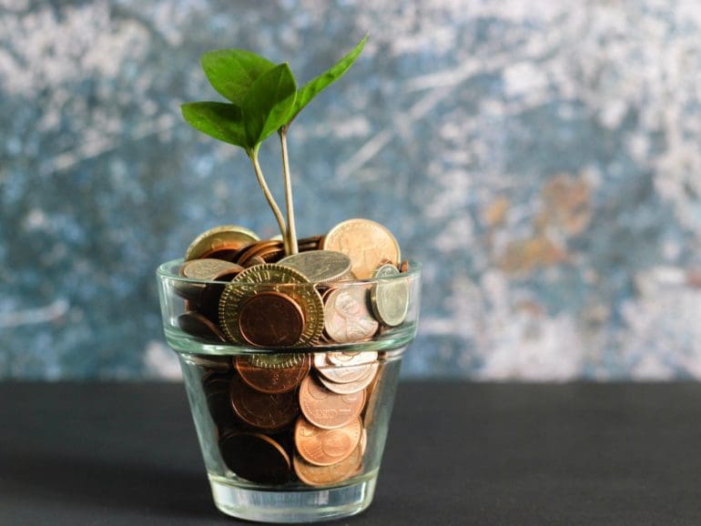 plant growing out of money