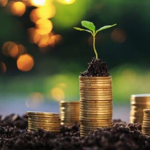 Return on investment concept and saving money Seedling on a blurred natural background