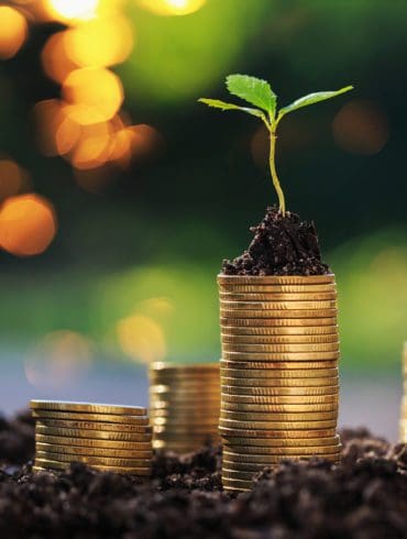 Return on investment concept and saving money Seedling on a blurred natural background