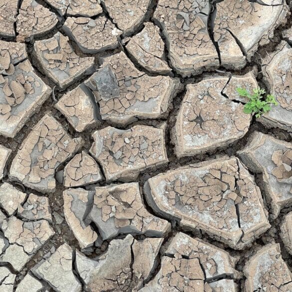 funding drought