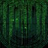 PayNearMe report outlines data-based decision-making benefits